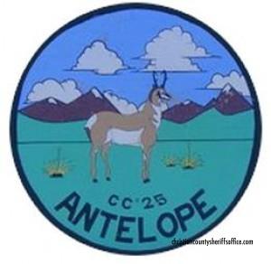 Antelope Conservation Camp #25